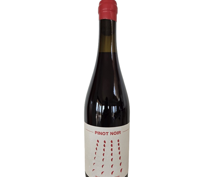 Pinot Noir 2024